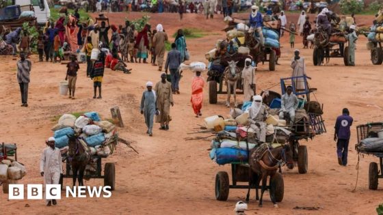 UN expert warns of genocide in Darfur city of El Fasher – MASHAHER