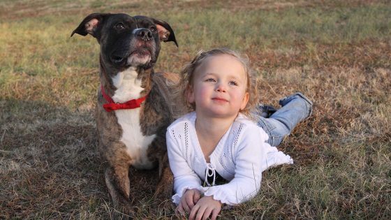 The Truth Behind Story of Toddler Supposedly Missing for 2 Days Until a Vet Checked Her Pit Bull – MASHAHER