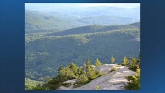 Teen hikers from Boston area rescued from Mount Flume trail in New Hampshire – MASHAHER