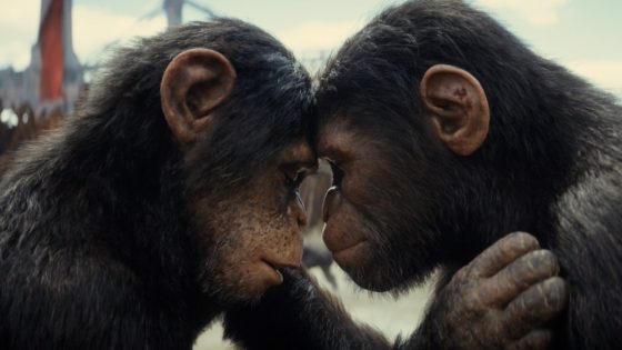 ‘Kingdom of the Planet of the Apes’ Stars Talk Becoming Primates – MASHAHER