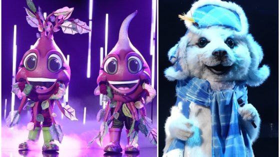 ‘The Masked Singer’ Recap Season 11, Episode 9: Seal, Beets Revealed – MASHAHER