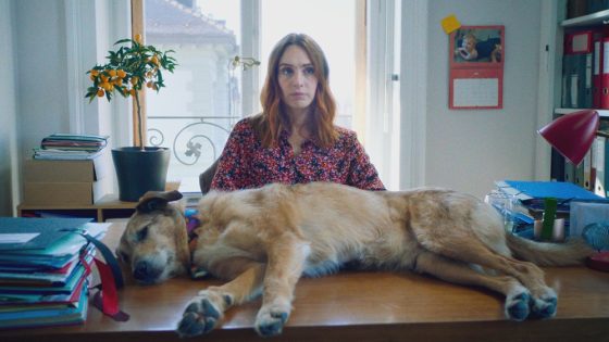 ‘Dog on Trial’ First Clip Drops as Laetitia Dosch Talks Movie – MASHAHER