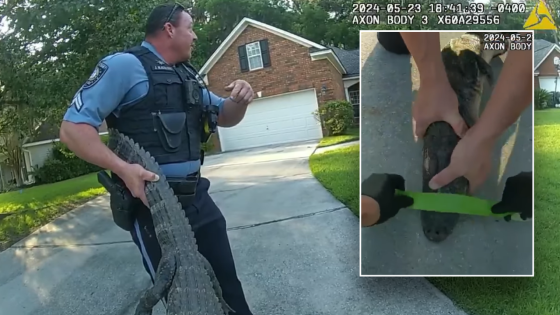 Georgia police officers ‘arrest’ alligator found in resident’s driveway – MASHAHER