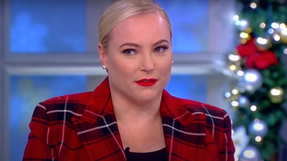 As Meghan McCain Says There’s ‘Not A Chance In Hell’ She’d Be Re-Hired At The View, She Reveals Where She Stands With Some Series Vets – MASHAHER