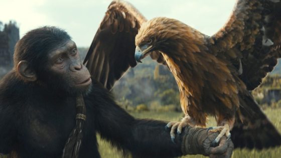 Box Office Kingdom of the Planet of the Apes Has $6.6 Million Previews – MASHAHER