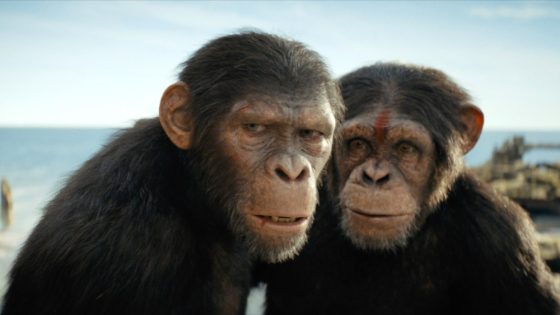 ‘Kingdom of the Planet of the Apes’ Hits $237 Million – MASHAHER