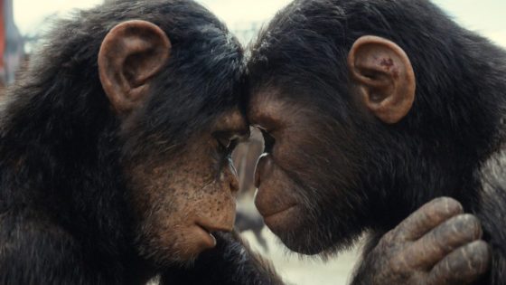 ‘Kingdom of the Planet of the Apes’ Debuts Atop U.K. Box Office – MASHAHER