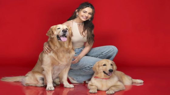 Rakul Preet Singh turns brand ambassador for Drools Pet Food to empower pet moms : Bollywood News – MASHAHER