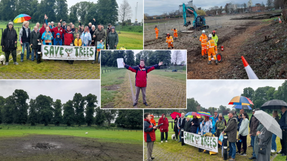 Wellingborough tree campaigners win High Court clash with council after 16 ancient lime trees were removed to prepare for road expansion – MASHAHER