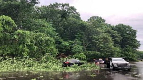 Pittsburgh Zoo & Aquarium assessing damage after tornado touched down in area – MASHAHER