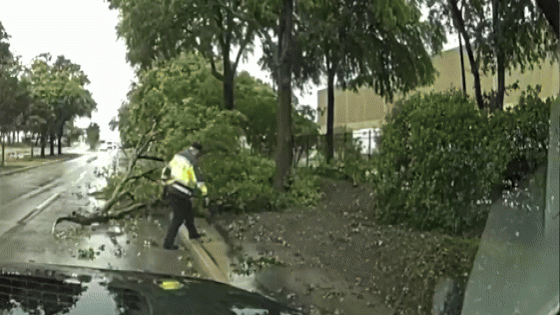 Police in Dallas Area Move Downed Trees by Hand – MASHAHER