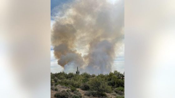 Wildcat Fire grows to approximately 5,000 acres, causes road closures near Bartlett Lake – MASHAHER