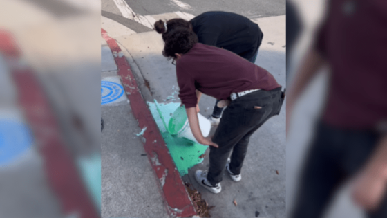 Santa Monica pottery studio responds after video surfaces of employees dumping glaze in storm drain – MASHAHER