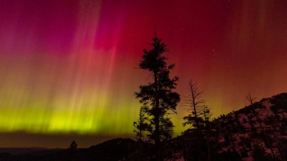 The northern lights dazzled Idaho skygazers. See photos from Boise and beyond – MASHAHER