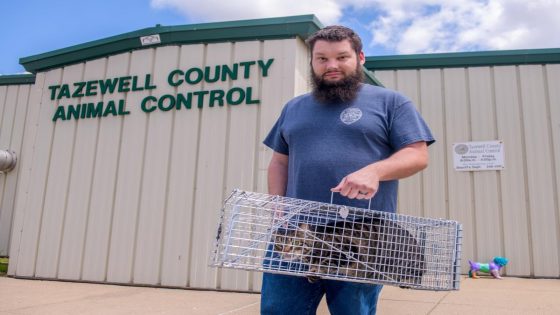 Feral cats are a problem in this central Illinois county. Here’s how they’re handling it – MASHAHER