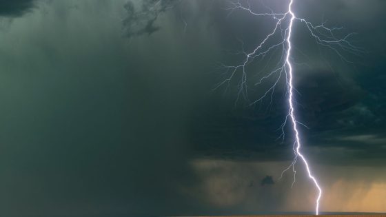 Single Lightning Bolt Kills Rancher, 34 Cattle In Colorado – MASHAHER