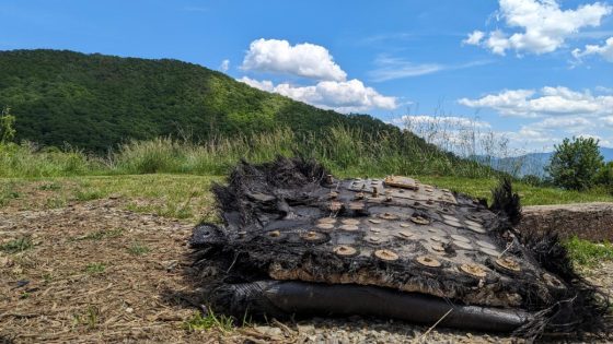 Space debris from SpaceX Dragon capsule crashed in the North Carolina mountains. I had to go see it (video) – MASHAHER