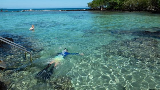 Hawaii tourist dies on Maui beach, and wife alleges state failed to warn her about snorkeling danger – MASHAHER