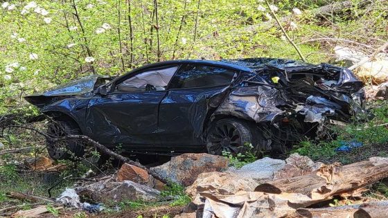 Tesla plunges hundreds of feet down Highway 50 embankment, killing driver in California mountains – MASHAHER