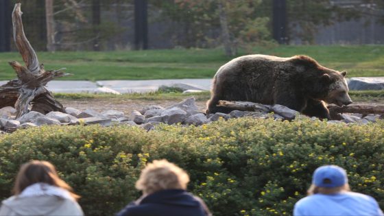 Stocks are primed to tumble into a bear market as bullish investors have driven equities to 1929 extremes, famed fund manager says – MASHAHER