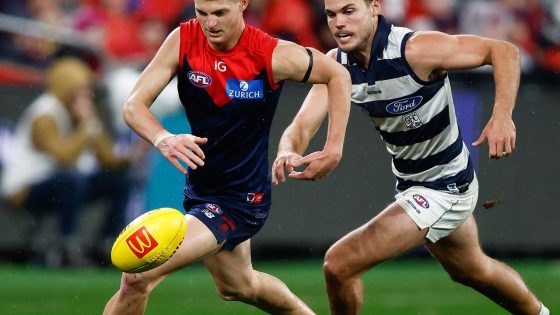 Live AFL scores 2024, Melbourne Demons vs Geelong Cats, Round 8 updates, stats, blog, start time, teams, how to stream, news – MASHAHER