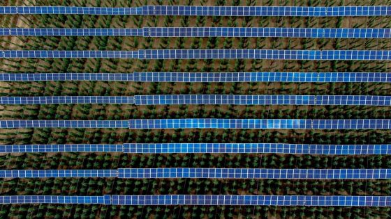 Germany has too many solar panels, and it’s pushed energy prices into negative territory – MASHAHER