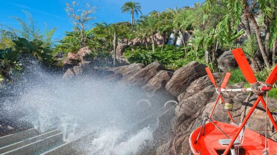 Family sues Disney for $50K after man finds fiancee unconscious at the end of Humunga Kowabunga water slide – MASHAHER