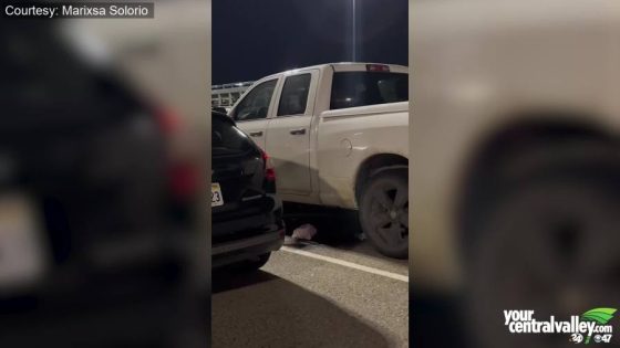 Blood leaking from truck at Fresno’s airport: What was it from? – MASHAHER