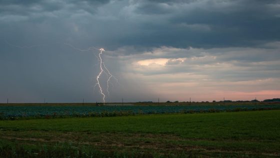 Lightning strike kills Colorado cattle rancher, 34 of his herd; wife, father-in-law survive – MASHAHER