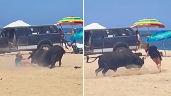 Raging bull attacks woman on Mexican beach as tourists scream in horror: video – MASHAHER