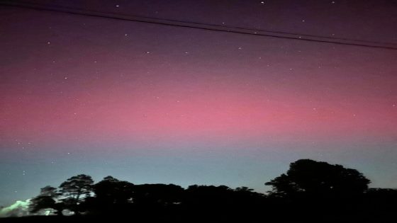 What’s your chance of seeing the northern lights tonight? A look at Saturday’s forecast – MASHAHER