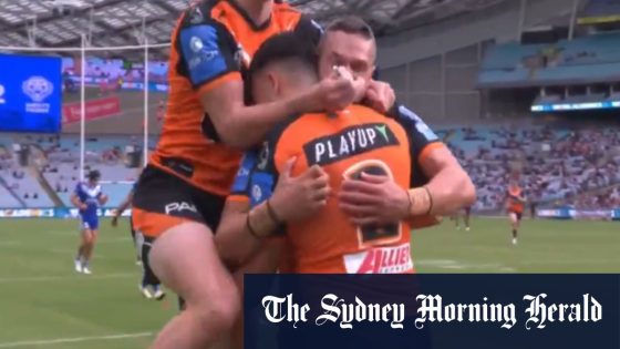 Tigers pull off miracle full length try – MASHAHER