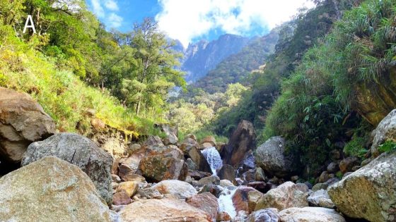 Mountain creature — feared extinct after a quake — found swimming in Malaysia. See it – MASHAHER