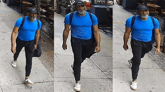 Suspect wanted in Steve Buscemi NYC sucker-punch identified – MASHAHER