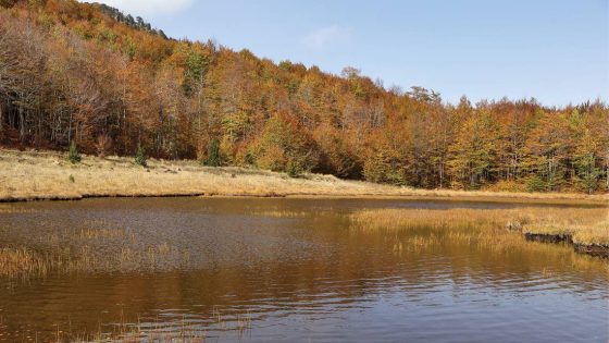 Scientists on hike spot dead rodent — then see a surprising creature ‘nibbling’ away – MASHAHER