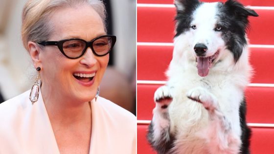 Cannes Festival Opening Ceremony Features Meryl Streep, Messi the Dog – MASHAHER