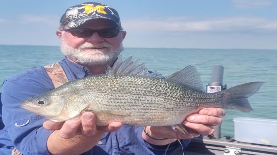 Northern Michigan fly fisherman breaks state record with ‘monster’ white perch – MASHAHER