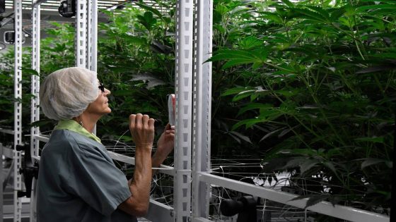 Medical marijuana company will grow all its Georgia cannabis in Macon. See the facility. – MASHAHER