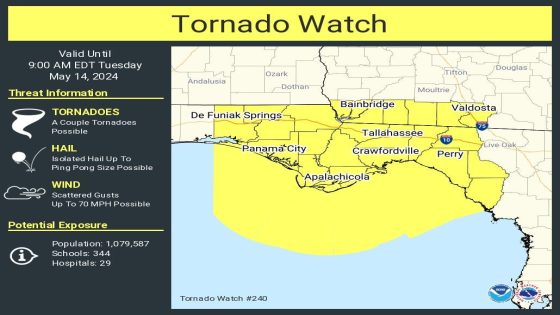 Tornado watch issued for several Panhandle counties. Watch storms on Tallahassee radar – MASHAHER