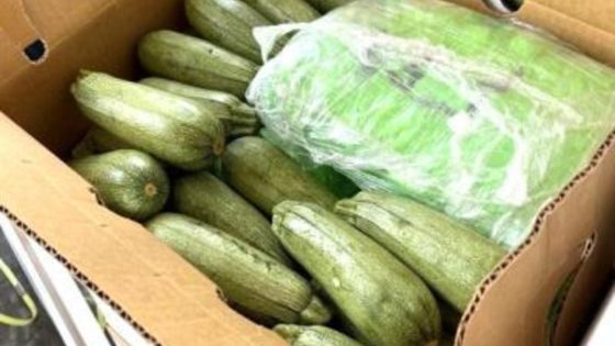 Dogs help detect nearly 6 tons of meth hidden inside squash shipment in California – MASHAHER