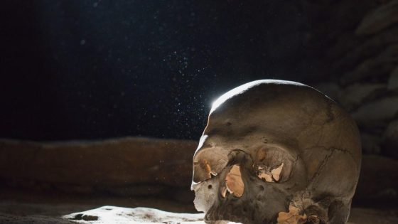 A Million-Year-Old Skull Could Prove the Dragon Man’s Direct Line to Humans – MASHAHER