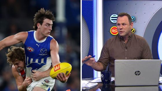 David King says George Wardlaw gives Roos fans a reason to go to games, North Melbourne Kangaroos, more competitive in loss to St Kilda Saints, comments, reaction, latest news – MASHAHER