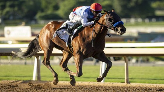 Preakness Stakes favorite Muth scratched due to fever – MASHAHER