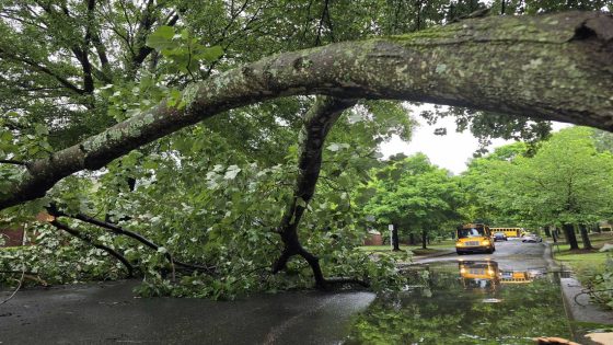 1 dead, thousands without power as storms pummel Charlotte. Flights grounded at airport – MASHAHER