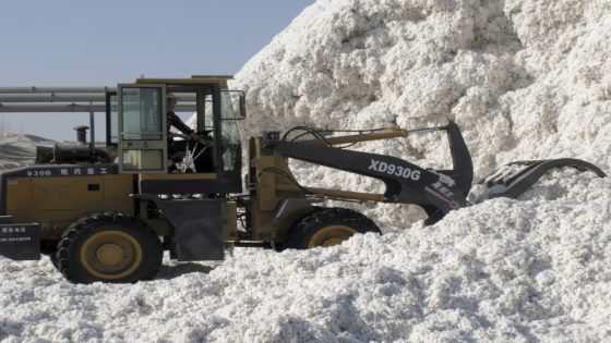 Banned Chinese cotton found in 19% of US retailers’ merchandise, study shows – MASHAHER