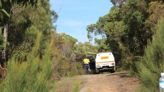 DFES investigation into bushfire at Sea View in Bayonet Head deems cause of blaze deliberate – MASHAHER