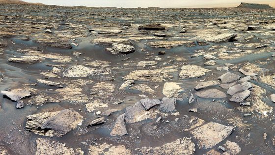 Mars Loaded With Mineral Closely Associated With Life, NASA Rover Finds – MASHAHER