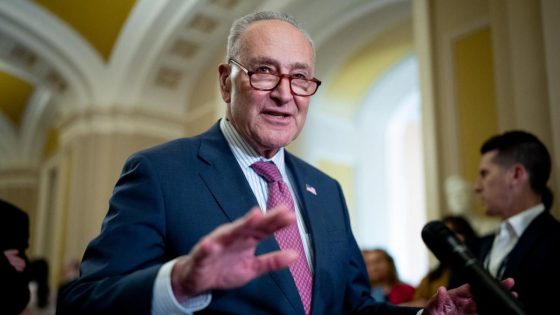 Sen. Schumer tells Democrats he’ll reintroduce bipartisan border bill – MASHAHER