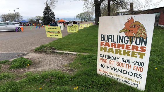 Burlington Farmers Market is back, but so is Pine Street construction – MASHAHER