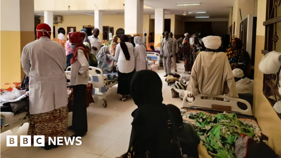 Single hospital in Sudan city records 134 deaths – MASHAHER